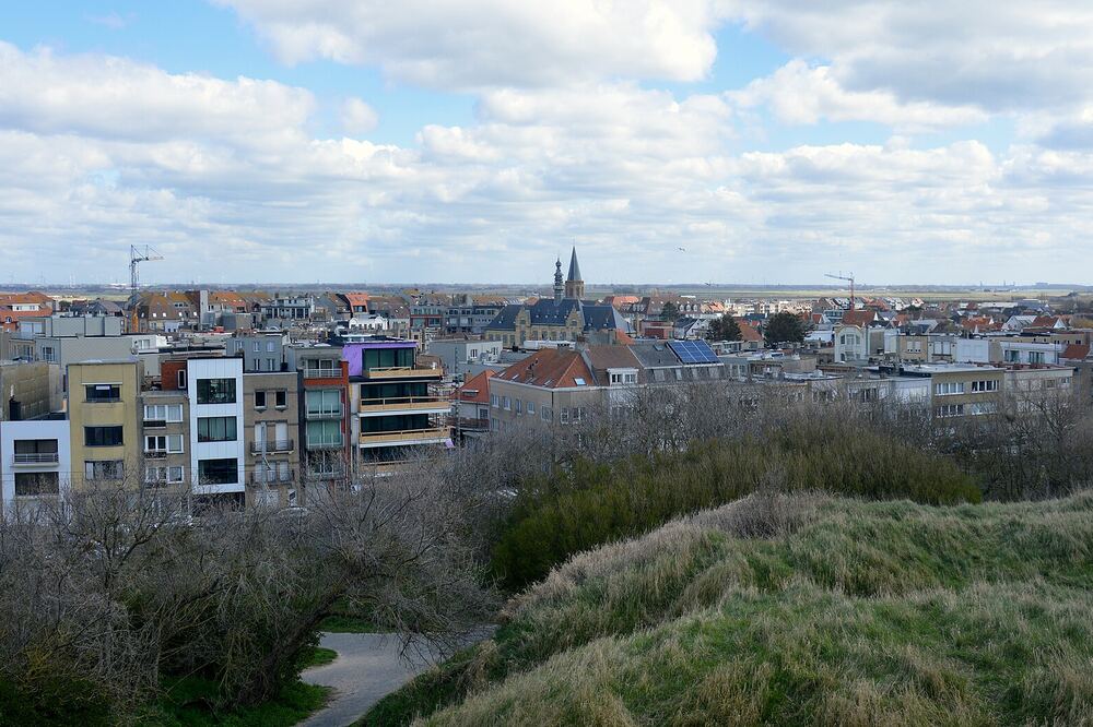 Uitzicht over de daken van Wenduine vanaf de duinen